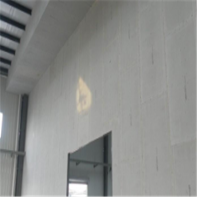 福建宁波ALC板|EPS加气板隔墙与混凝土整浇联接的实验研讨